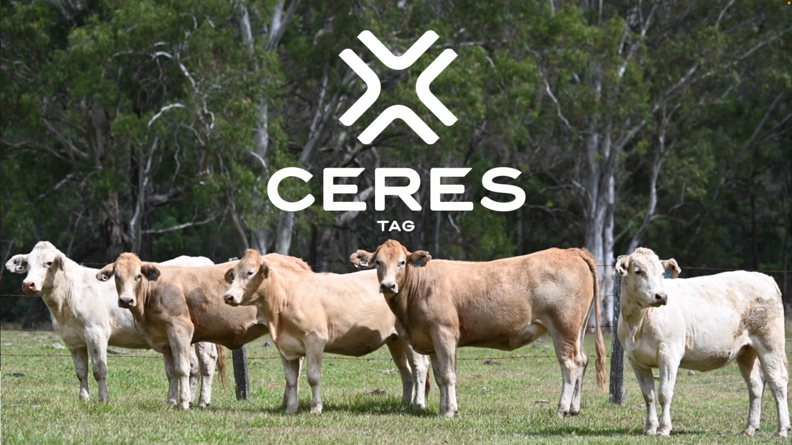 JNA + CERES TAG